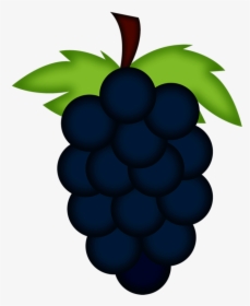 ○‿✿⁀grapes‿✿⁀○ Fruta, Preescolar, Fondos, Decoupage - Seedless Fruit, HD Png Download, Transparent PNG