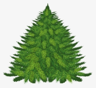 Fir Tree Png Image - Transparent Christmas Tree Cartoon, Png Download, Transparent PNG