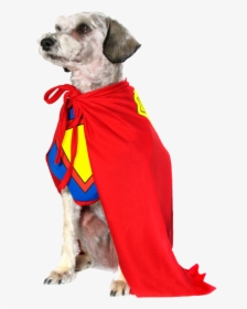 Superhero Cape Png Hd - Super Hero Dog Png, Transparent Png, Transparent PNG