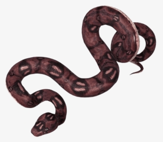 Anaconda-png - Anaconda Illustration, Transparent Png, Transparent PNG
