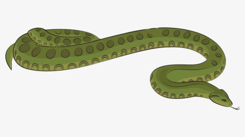 Plains Gartersnake, HD Png Download, Transparent PNG