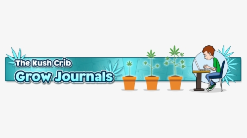 Flowerpot, HD Png Download, Transparent PNG