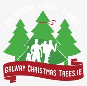 Galway Christmas Trees - Making Christmas Cards, HD Png Download, Transparent PNG