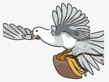 Turtle Dove Clipart Bible, HD Png Download, Transparent PNG