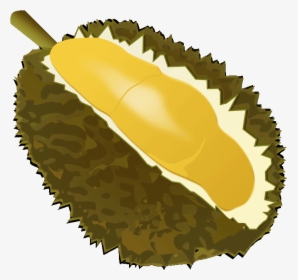 Fruits Transparent Durian - Transparent Background Durian Icon, HD Png Download, Transparent PNG