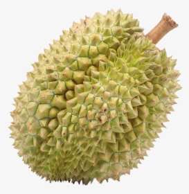 Durian , Png Download - Fruits That People Don T Like, Transparent Png, Transparent PNG