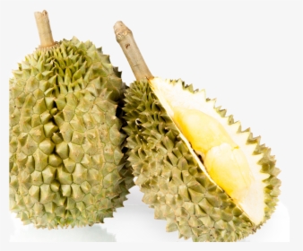 Durian, HD Png Download, Transparent PNG