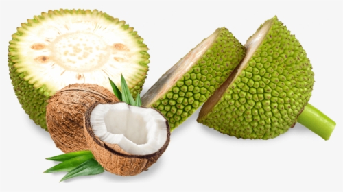 Coconut Jackfruit, HD Png Download, Transparent PNG