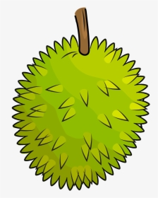 Durian Clipart, HD Png Download, Transparent PNG