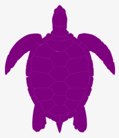 Plum Sea Turtle Clip Art At Clipartimage - Silhouette Sea Turtle Vector, HD Png Download, Transparent PNG