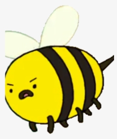 Adventure Time Transparent Bee, HD Png Download, Transparent PNG