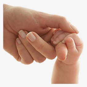 #hands #freetoedit - Right To Life, HD Png Download, Transparent PNG