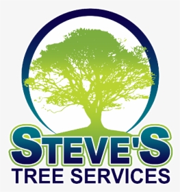 Steve S Tree Service - Oak Tree Silhouette, HD Png Download, Transparent PNG