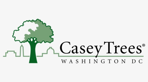 Casey Trees, HD Png Download, Transparent PNG