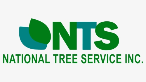 Nts National Tree Service Inc - Graphic Design, HD Png Download, Transparent PNG