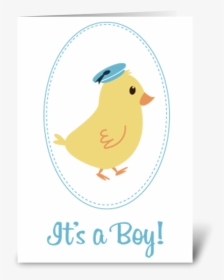 Little Boy Chick Baby Announcement Greeting Card - Brundage Mountain, HD Png Download, Transparent PNG