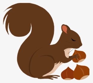Squirrel Nuts PNG Images, Transparent Squirrel Nuts Image Download - PNGitem
