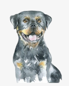 #watercolor #puppy #dog #rottweiler #babyanimals #farmanimals, HD Png Download, Transparent PNG
