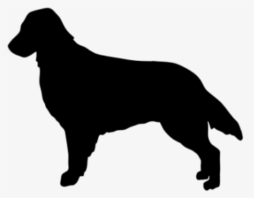 Rottweiler Flat-coated Retriever Golden Retriever Border - Wirehaired Pointing Griffon Silhouette, HD Png Download, Transparent PNG