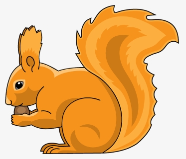 Eurasian Red Squirrel, HD Png Download, Transparent PNG