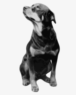 Photorealistic Vector Drawing Of Rottweiler - Loss Of A Rottweiler, HD Png Download, Transparent PNG