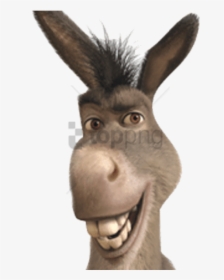 Free Png Donkey From Shrek Smiling Png Image With Transparent - Donkey From Shrek Face, Png Download, Transparent PNG