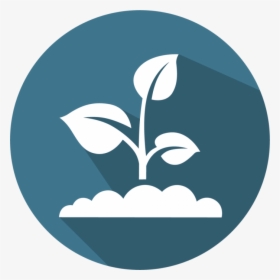 Graphic Design, HD Png Download, Transparent PNG