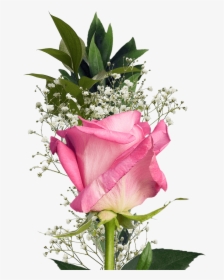Single Flower Bouquet Assorted Color Roses And Fillers - Single Flower, HD Png Download, Transparent PNG