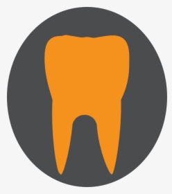 Orange/gray Tooth Svg Clip Arts, HD Png Download, Transparent PNG
