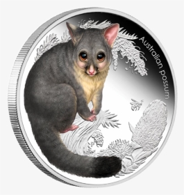 Australia 2013 50 Cents Possum Australian Bush Babies - Australian Animal Bush Baby, HD Png Download, Transparent PNG