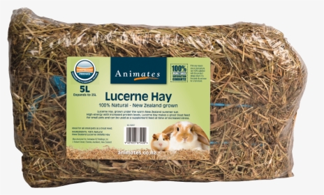 Pressed Hay Small Animals , Png Download - Guinea Pig, Transparent Png, Transparent PNG