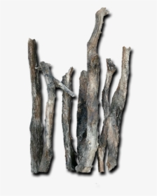 Logs Roots Bottom Rocks - Driftwood, HD Png Download, Transparent PNG