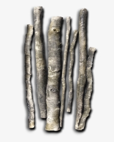 Logs Roots Bottom Rocks - Punch, HD Png Download, Transparent PNG