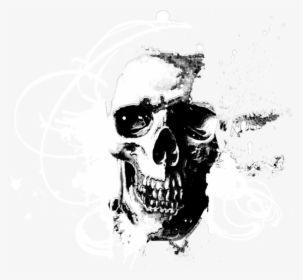 Transparent Vector Skull , Png Download - Skull Vector Images Transparent, Png Download, Transparent PNG
