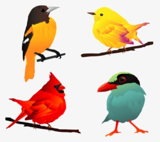 Free Bird Vector - Beautiful Birds Vector, HD Png Download, Transparent PNG