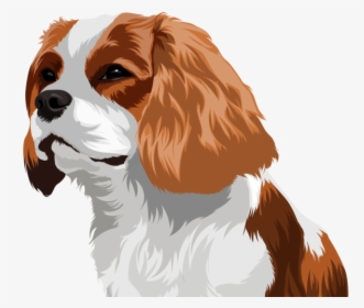 Pet Drawing Drawing Pets Dogs Vector Cartoon Design - Cavalier King Charles Spaniel, HD Png Download, Transparent PNG