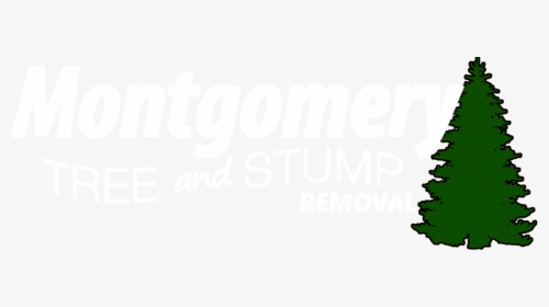 Montgomery Tree & Stump Removal - Clock, HD Png Download, Transparent PNG