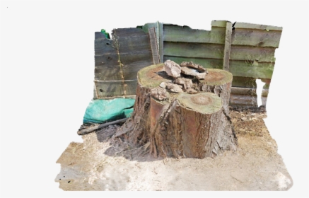 Tree Stump And Surrounding Area - Tree Stump, HD Png Download, Transparent PNG