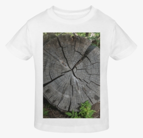 Dried Tree Stump Sunny Youth T-shirt - Tree Stump, HD Png Download, Transparent PNG