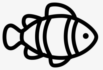 Clown Fish Icon , Png Download - Clown Fish Cartoon Png Outline, Transparent Png, Transparent PNG
