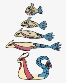 Pokemon Feebas To Milotic By Mariannefosho Pokemon - Pokemon Feebas To Milotic, HD Png Download, Transparent PNG