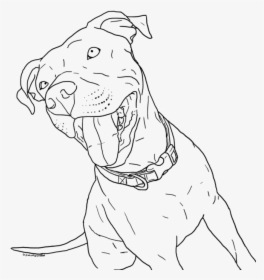 Printable Pitbull Dog Coloring Pages, HD Png Download, Transparent PNG