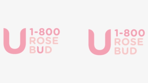 Day 6 - Rosebud-06 - Colorfulness, HD Png Download, Transparent PNG