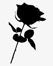 Black Rose Clipart Png, Transparent Png, Transparent PNG