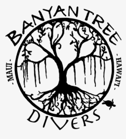 Banyan Tree Divers Maui - Banyan Tree Line Art, HD Png Download, Transparent PNG