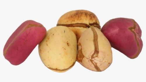 Kola Nuts Png - Kola Nut Alligator Pepper, Transparent Png, Transparent PNG