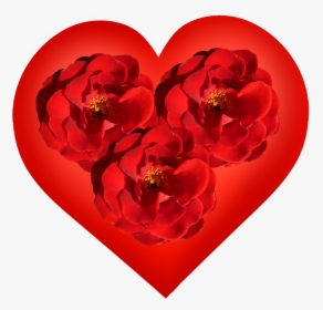 Red Heart With Three Red Roses - Heart, HD Png Download, Transparent PNG
