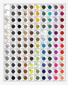 2018 Colorchart Master, HD Png Download, Transparent PNG