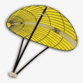 Antenna2 - Insect, HD Png Download, Transparent PNG