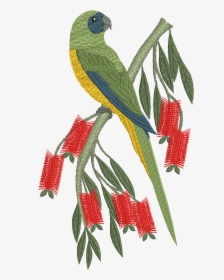 Machine Embroidery Designs , Png Download - Motif Design On Parrot, Transparent Png, Transparent PNG